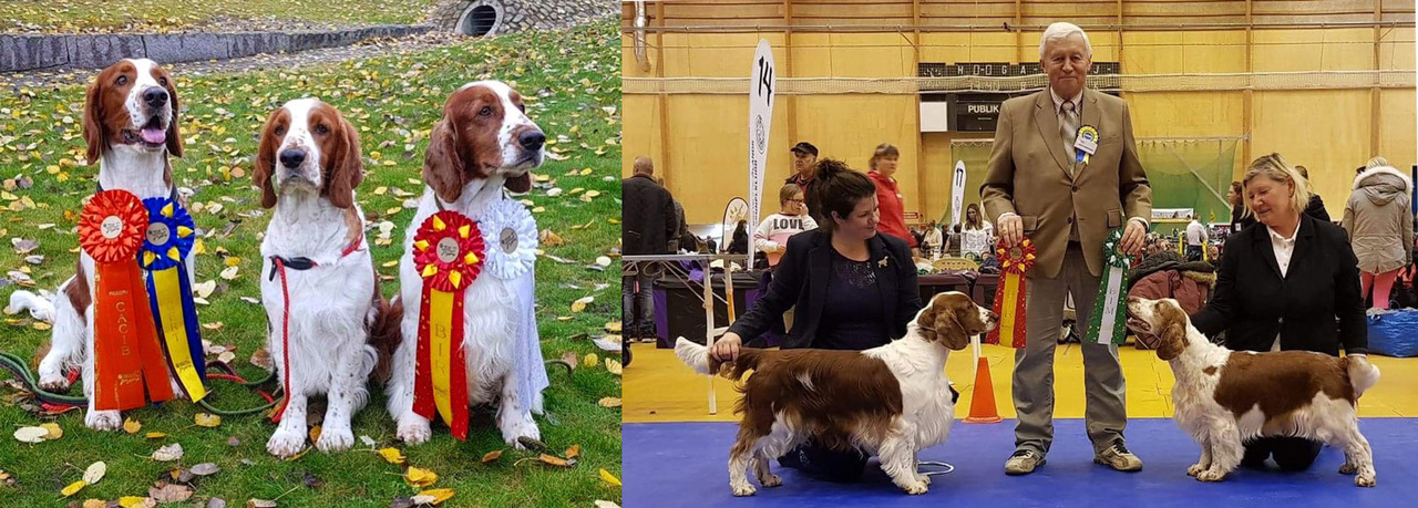 Växjö Internationella Wallova 2018