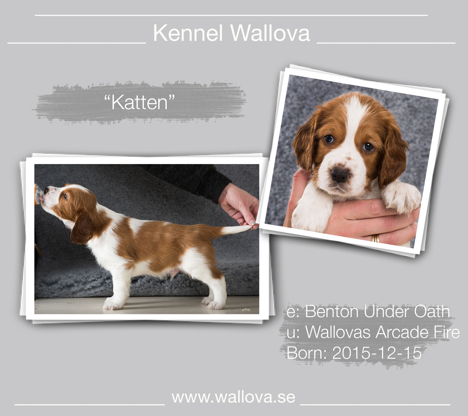 E-Kullen #7